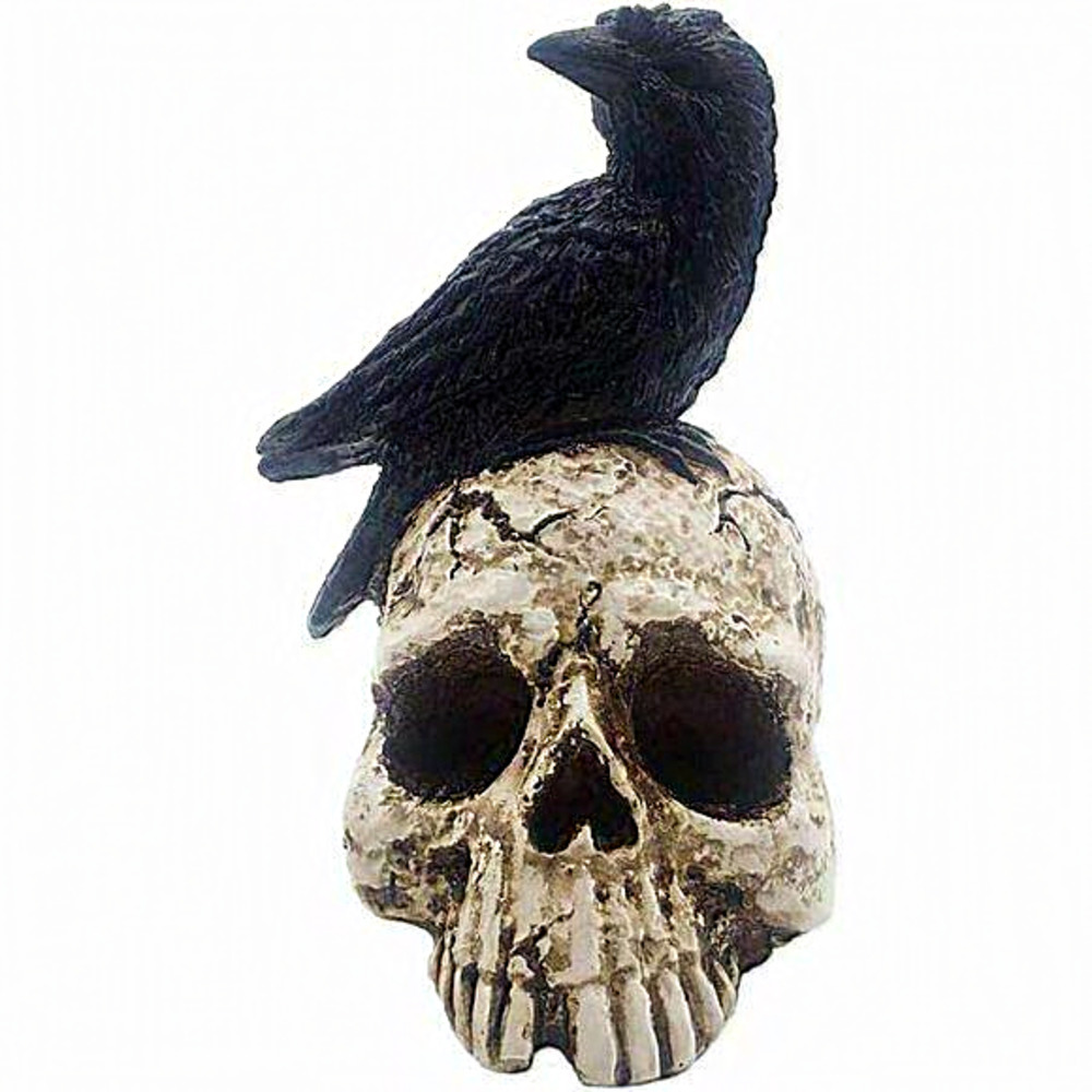Home Decor 	Resin Gothic Crow‎ On Skull Statue